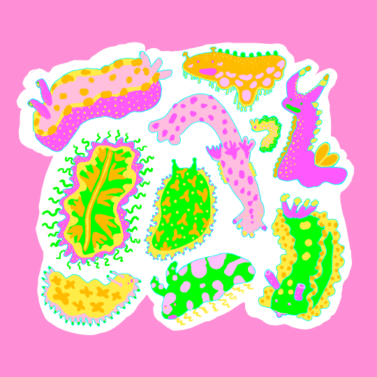 Nudibranch Birthday Party Sticker