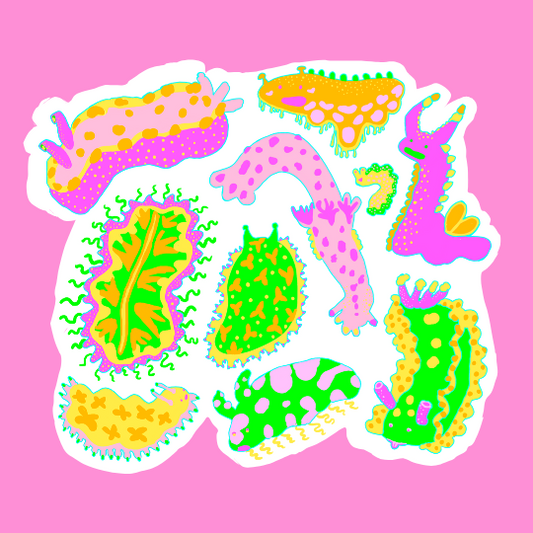 Nudibranch Birthday Party Sticker