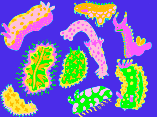 Nudibranch Birthday Party Art Print