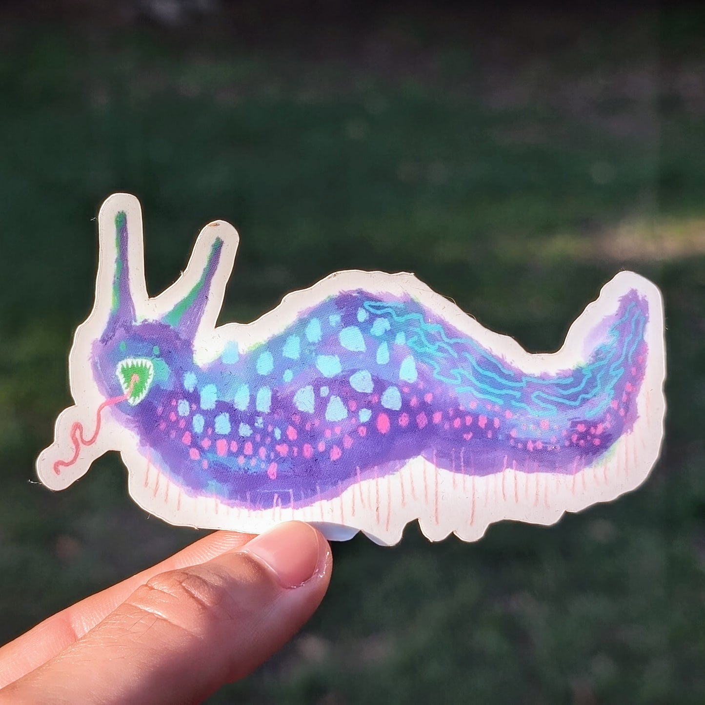 Nudibranch Sticker