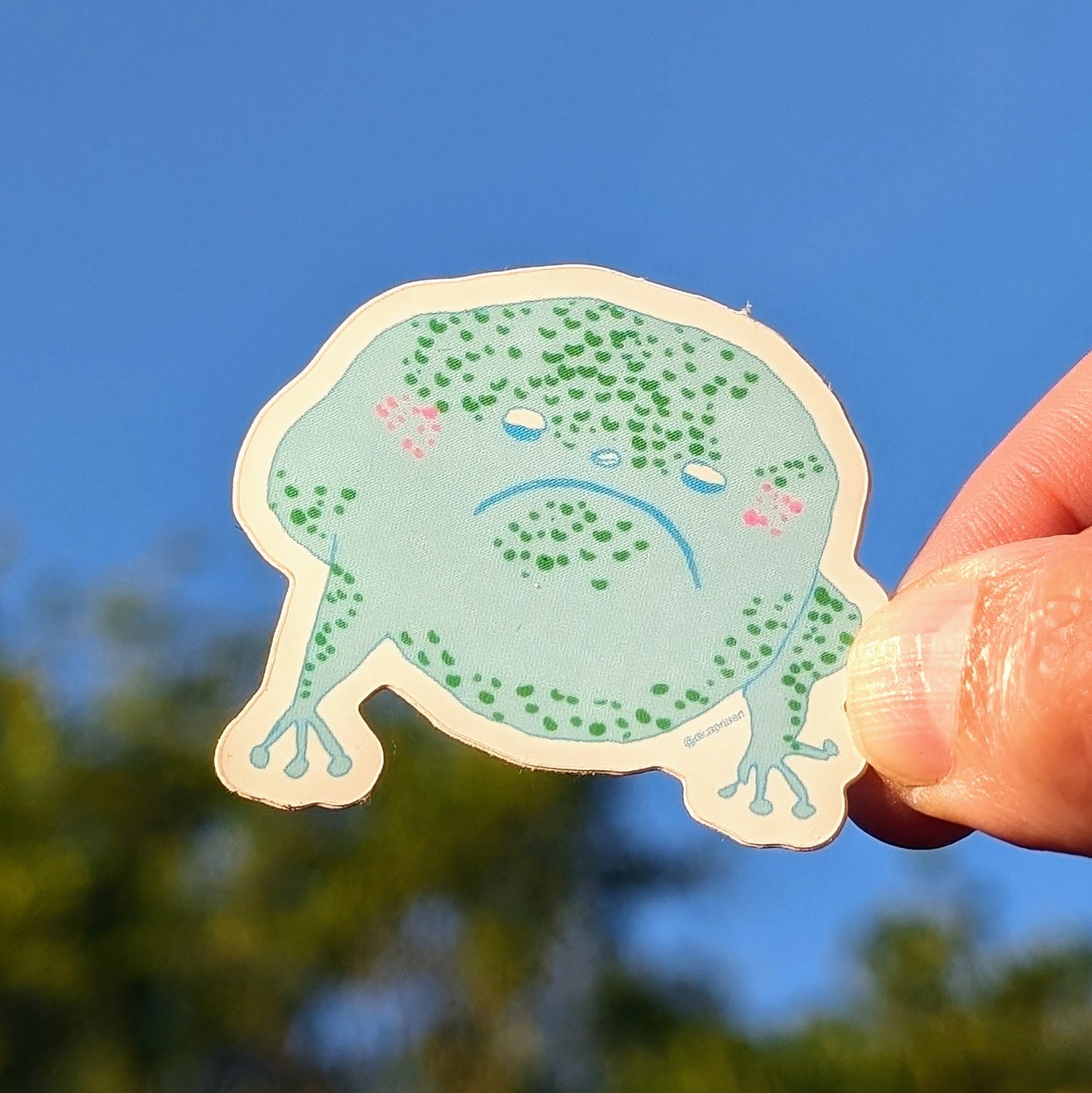 Grumpy Frog Sticker